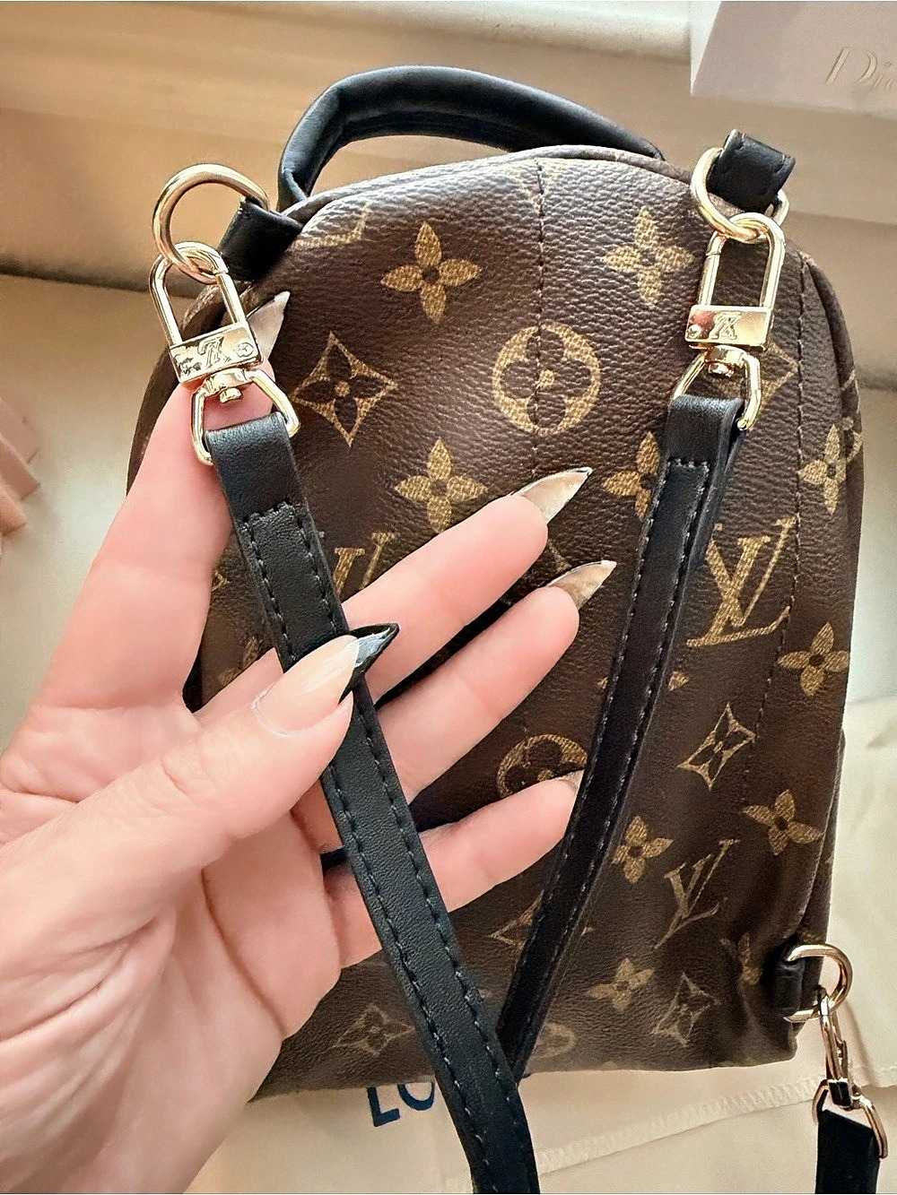 Monogram Palm Springs Mini Backpack - Picture 6 of 13